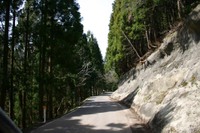 Photo_12