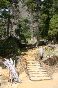 Photo_14