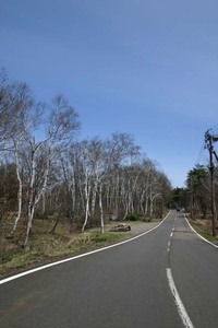 Photo_21