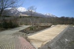 Photo_8