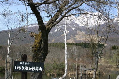 Photo_5
