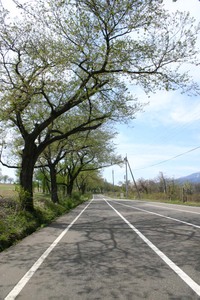 Photo_6