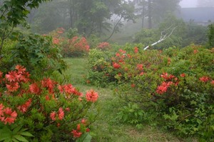 Photo_2