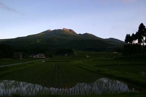 Photo_4