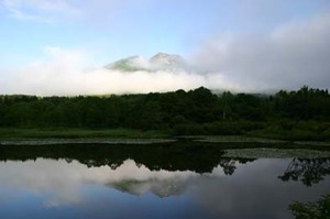 Photo_5
