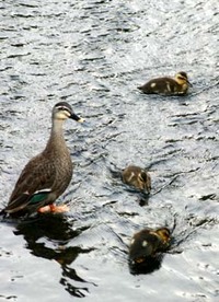 Photo_8