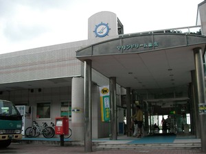 Photo_11
