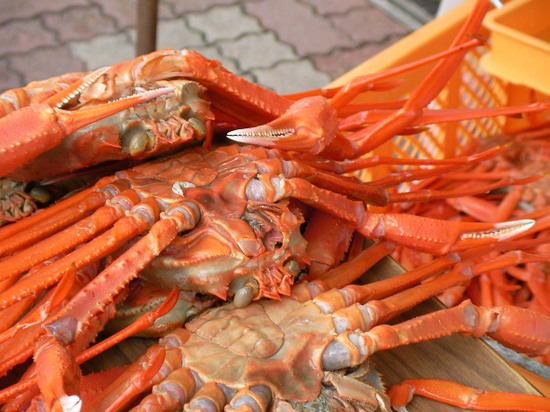Photo_7