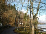 Photo_7