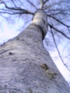 Dvc00022_2