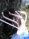 Dvc00023_3