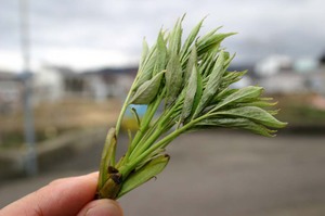 Photo_123