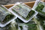 Photo_126