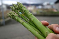 Photo_127